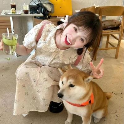 红圈
